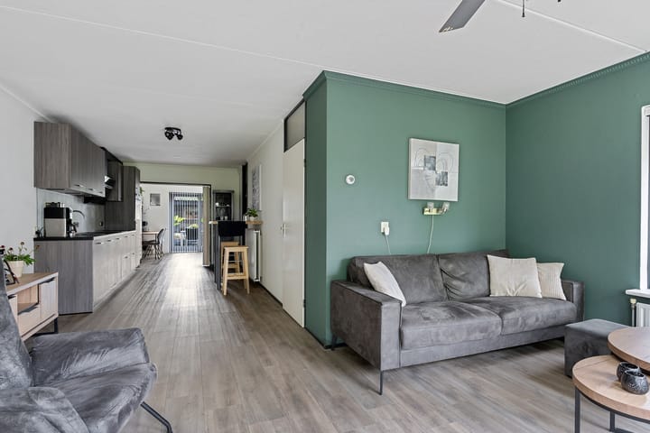 Foto 5 van Kuifeend 19