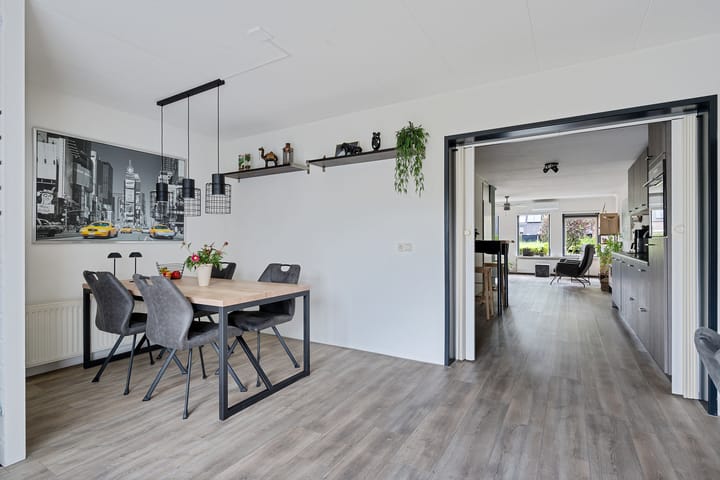 Foto 13 van Kuifeend 19