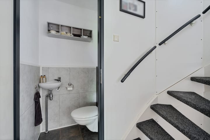 Foto 15 van Kuifeend 19