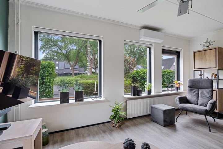 Foto 4 van Kuifeend 19