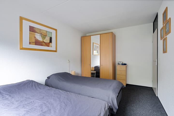 Foto 17 van Kuifeend 19