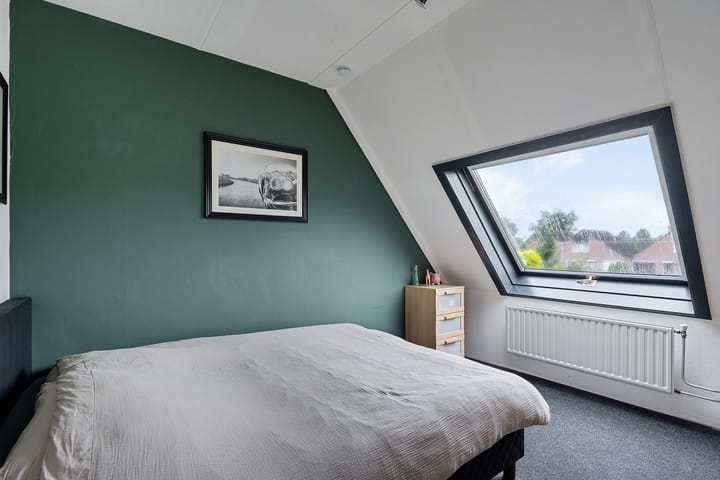 Foto 18 van Kuifeend 19