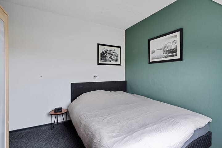 Foto 19 van Kuifeend 19