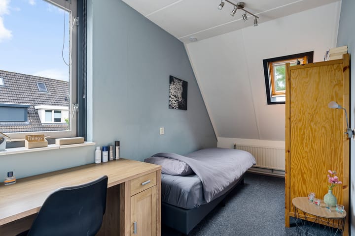 Foto 20 van Kuifeend 19