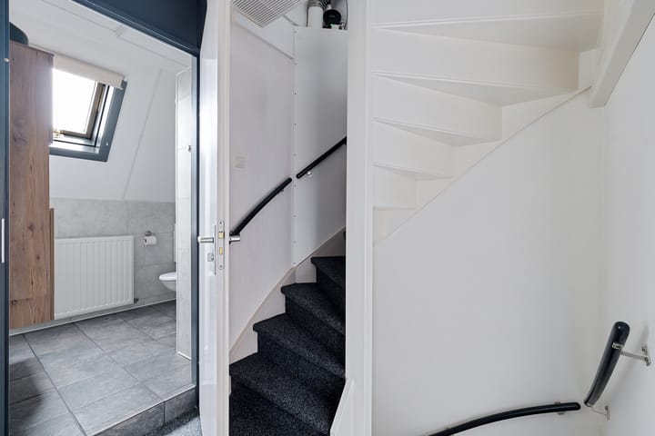 Foto 24 van Kuifeend 19