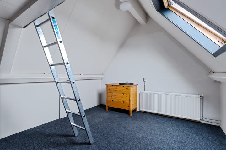 Foto 25 van Kuifeend 19