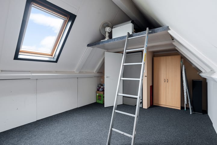 Foto 26 van Kuifeend 19