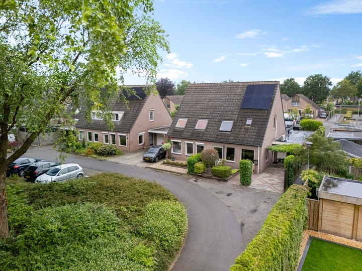 Foto 27 van Kuifeend 19