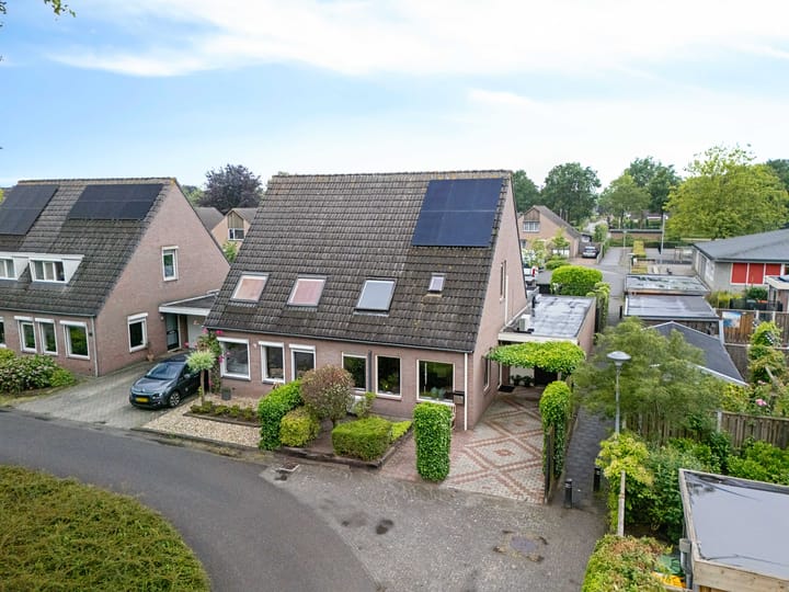 Foto 28 van Kuifeend 19