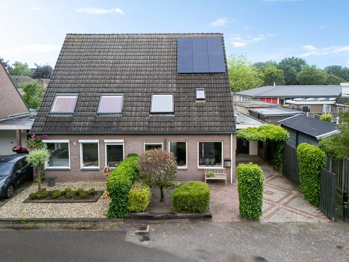 Foto 29 van Kuifeend 19