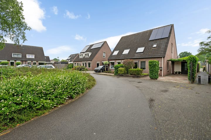 Foto 30 van Kuifeend 19