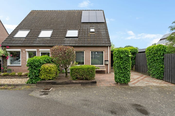 Foto 31 van Kuifeend 19