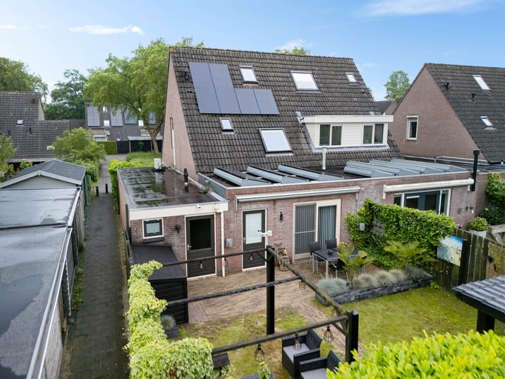 Foto 32 van Kuifeend 19