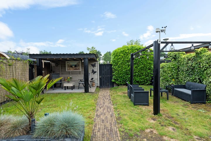 Foto 35 van Kuifeend 19