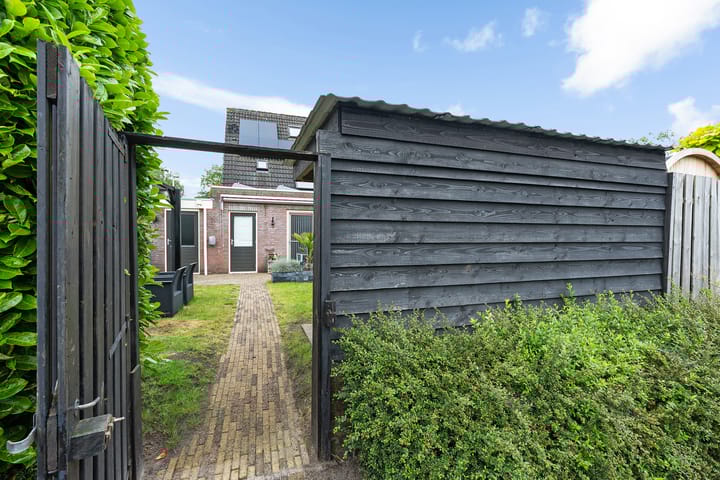 Foto 37 van Kuifeend 19