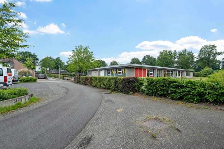 Foto 38 van Kuifeend 19