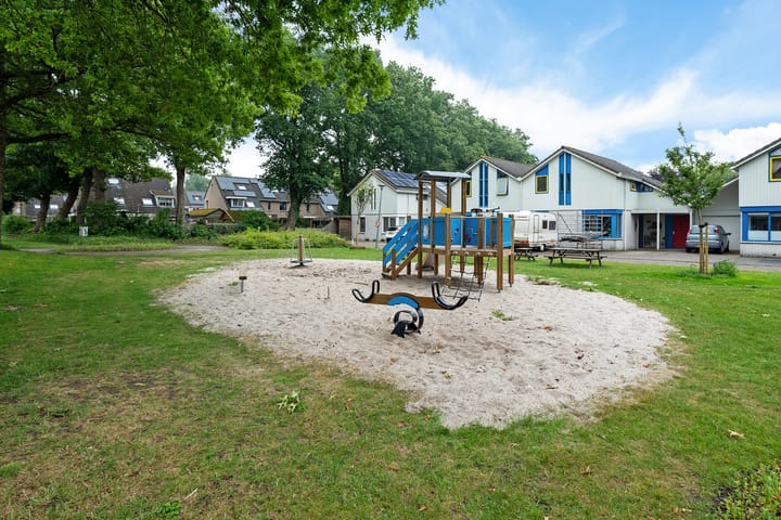 Foto 39 van Kuifeend 19