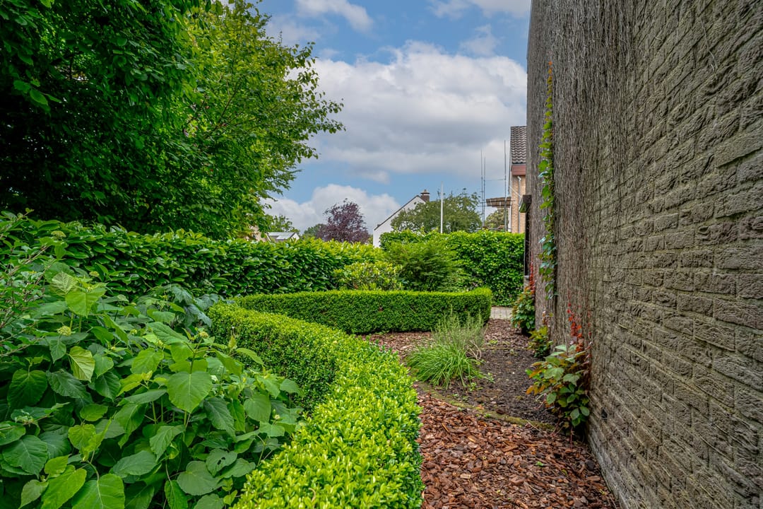 Foto 43 van Biezenweide 24