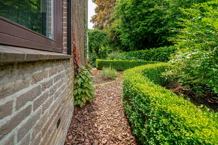 Foto 45 van Biezenweide 24