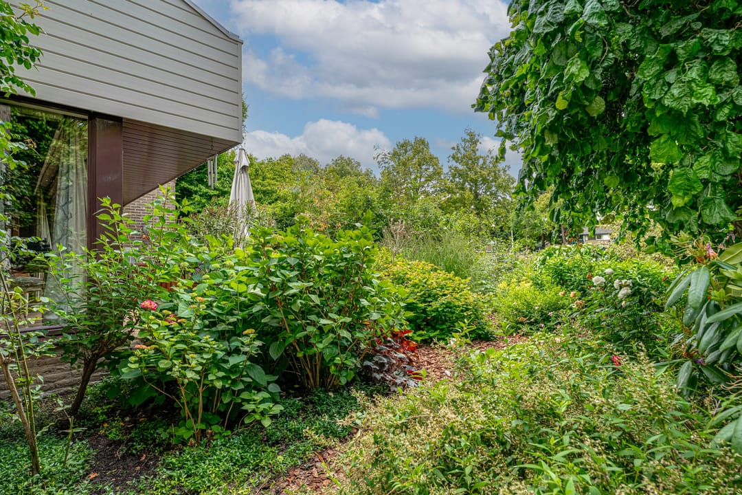 Foto 46 van Biezenweide 24