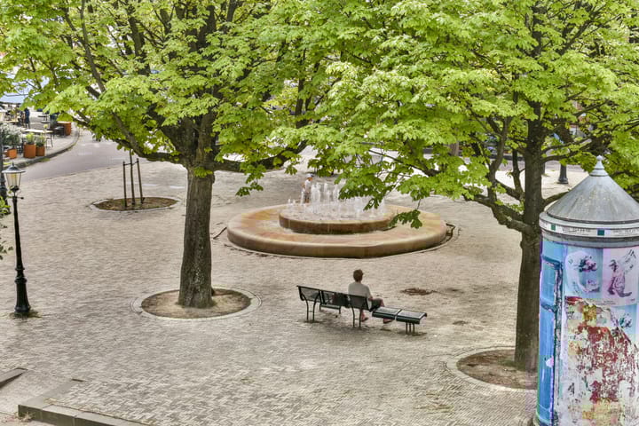 Foto 23 van Linnaeusparkweg 29-2