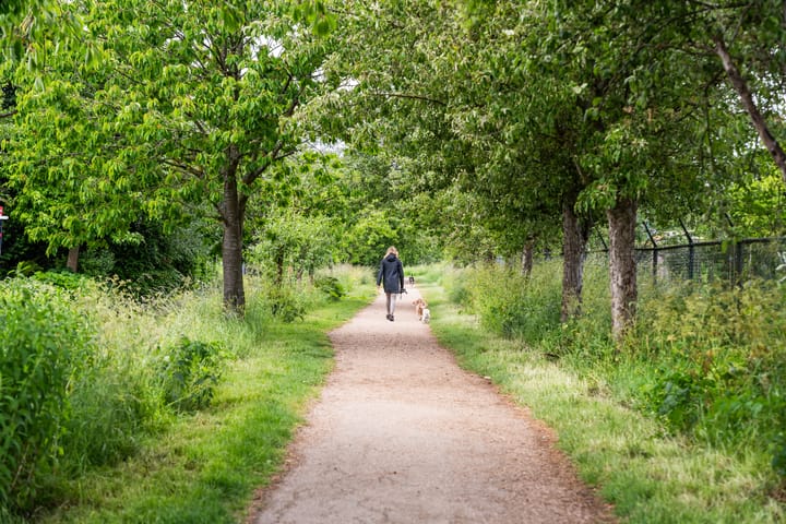 Foto 56 van Molenwerf 13