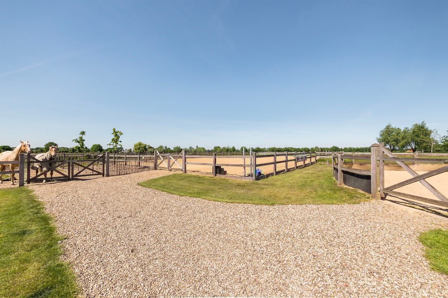 Foto 49 van Halseweg 1-C