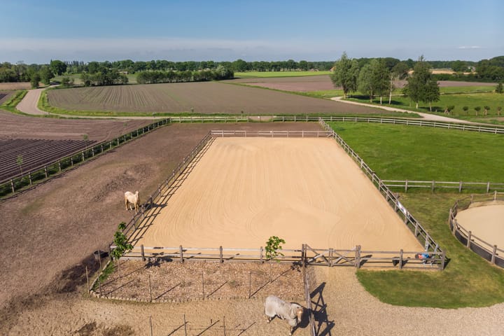 Foto 50 van Halseweg 1-C