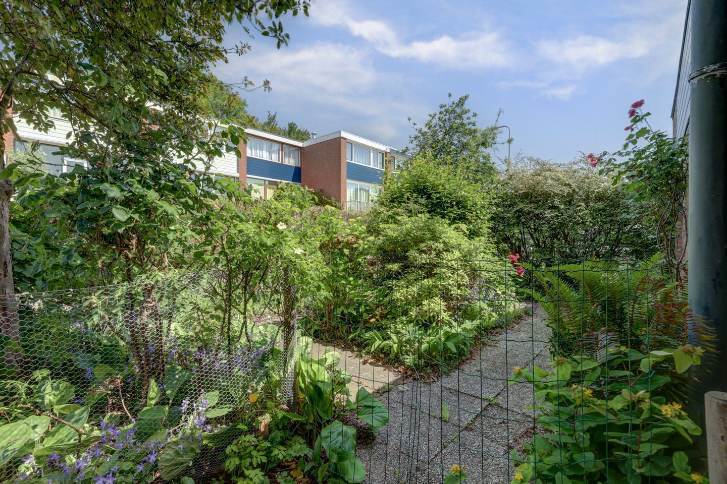 Foto 40 van Fluitekamp 87