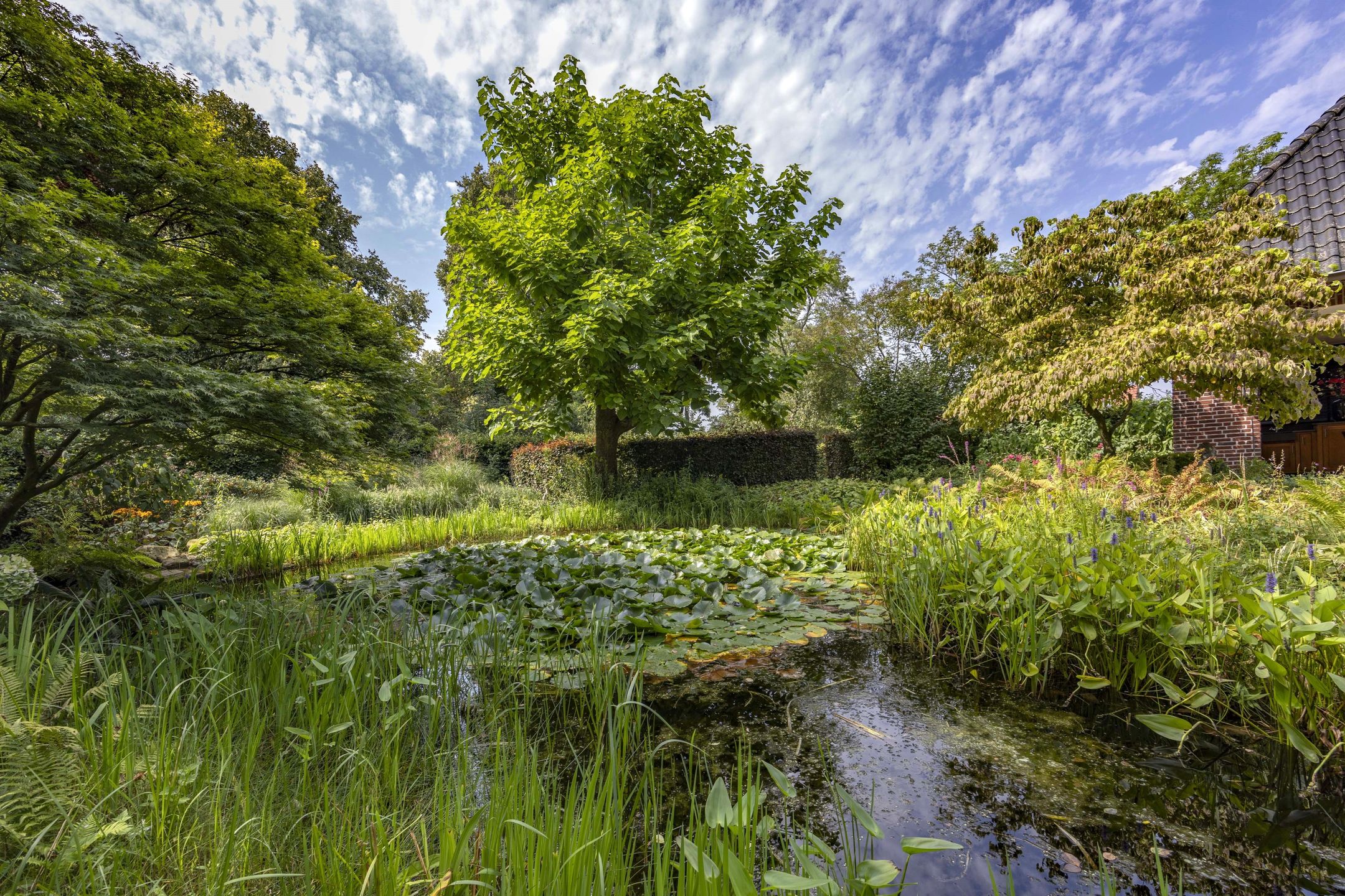 Photo 6 of Paalstraat 20