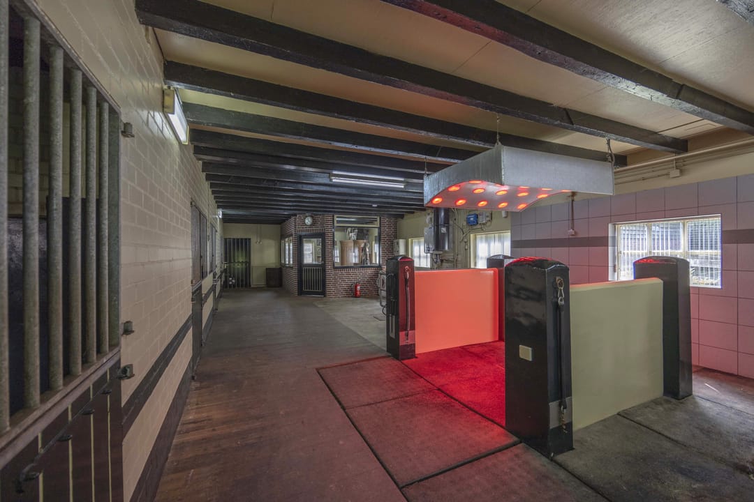 Photo 22 of Paalstraat 20