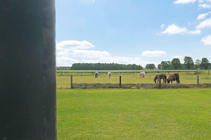 Foto 37 van Koelenweg 8