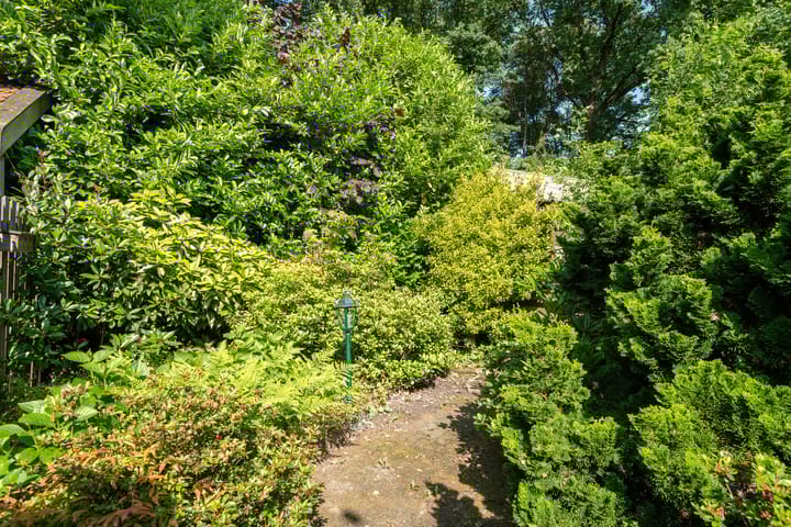 Foto 27 van Eykmanhof 43