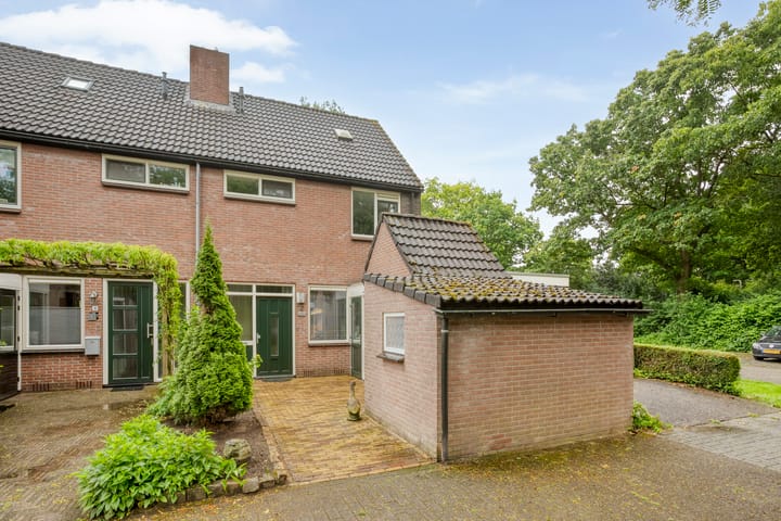 Foto 5 van de Meibree 2