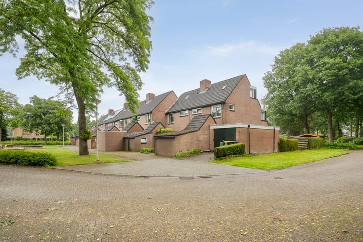 Foto 1 van de Meibree 2