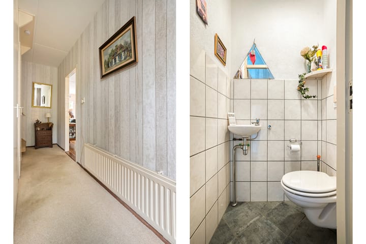 Foto 10 van de Meibree 2