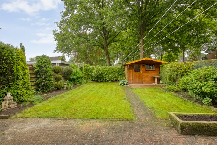 Foto 41 van de Meibree 2