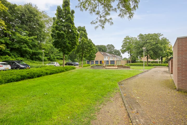 Foto 43 van de Meibree 2