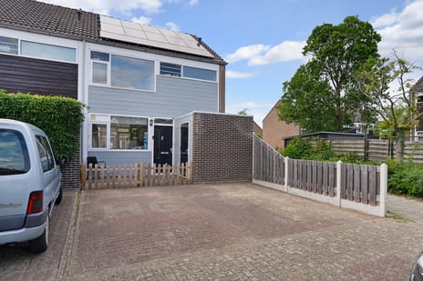 undefined main image