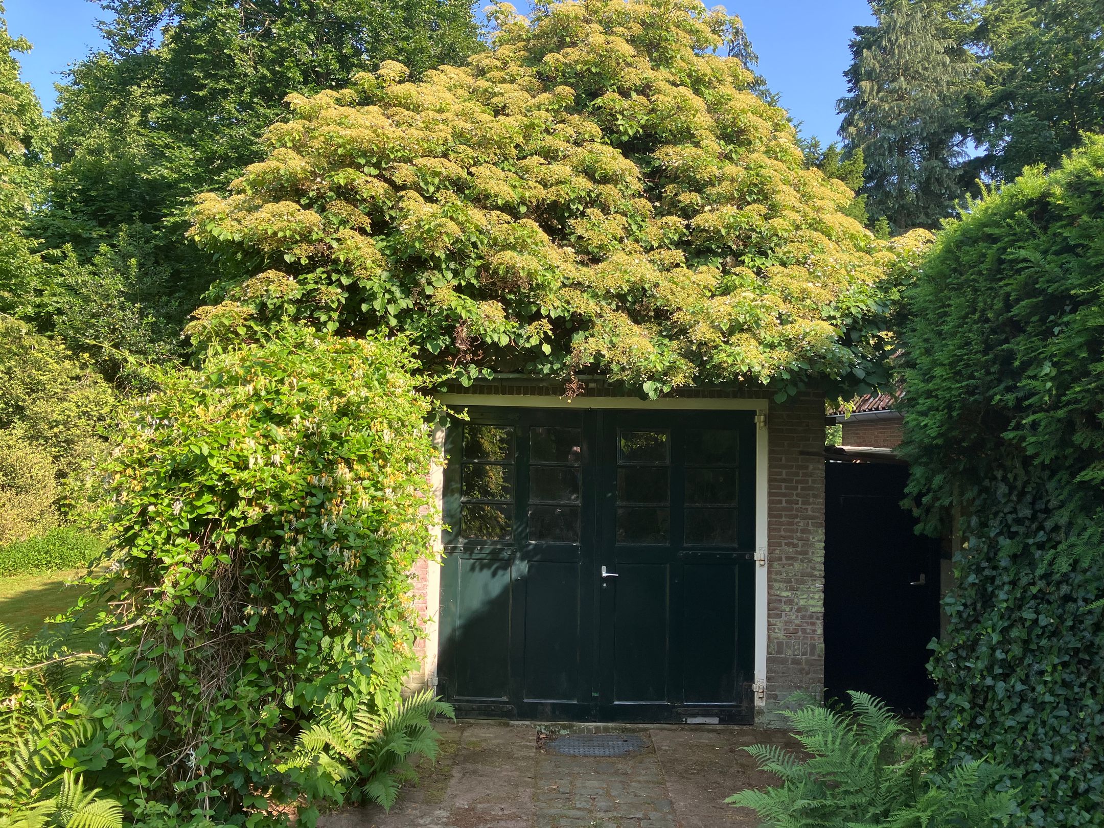 Foto 27 van Verlengde Slotlaan 28