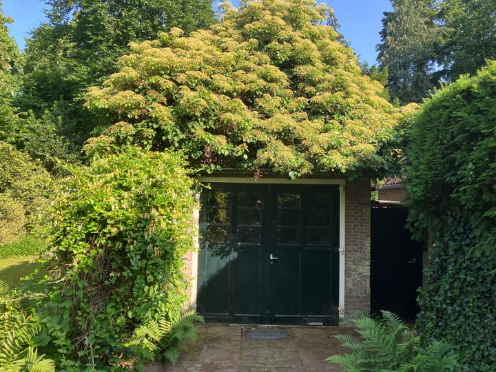 Foto 27 van Verlengde Slotlaan 28