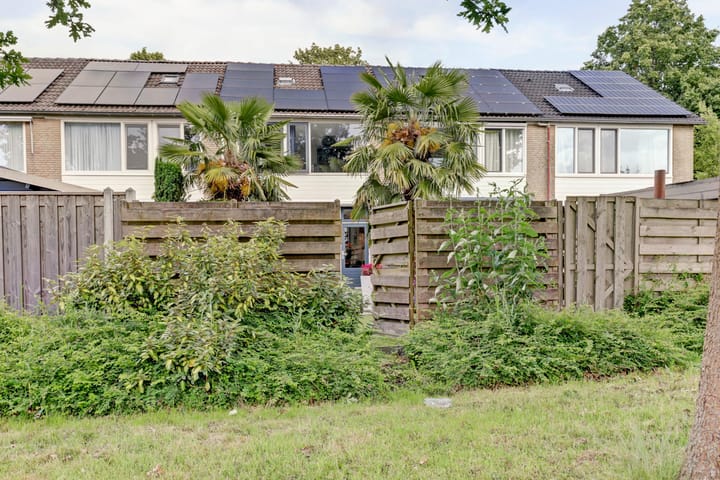 Foto 3 van Theo van Doesburgplantsoen 8