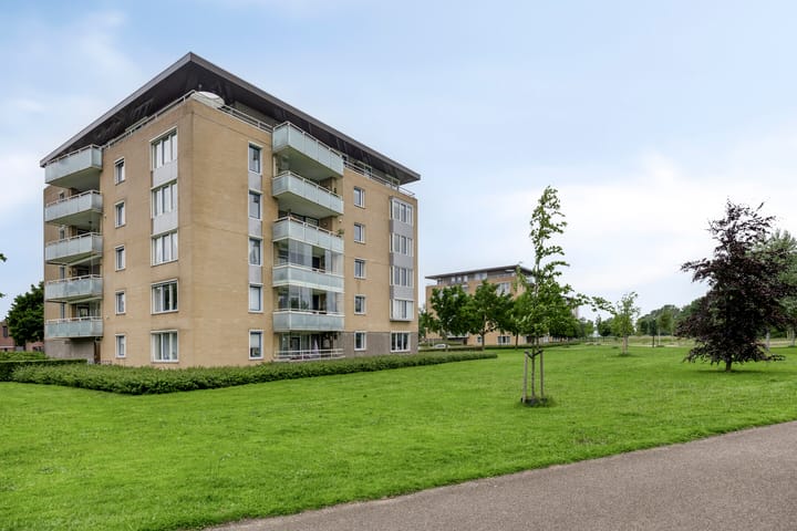 Foto 35 van Schildwacht 35