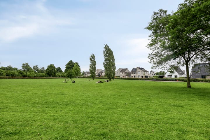 Foto 36 van Schildwacht 35