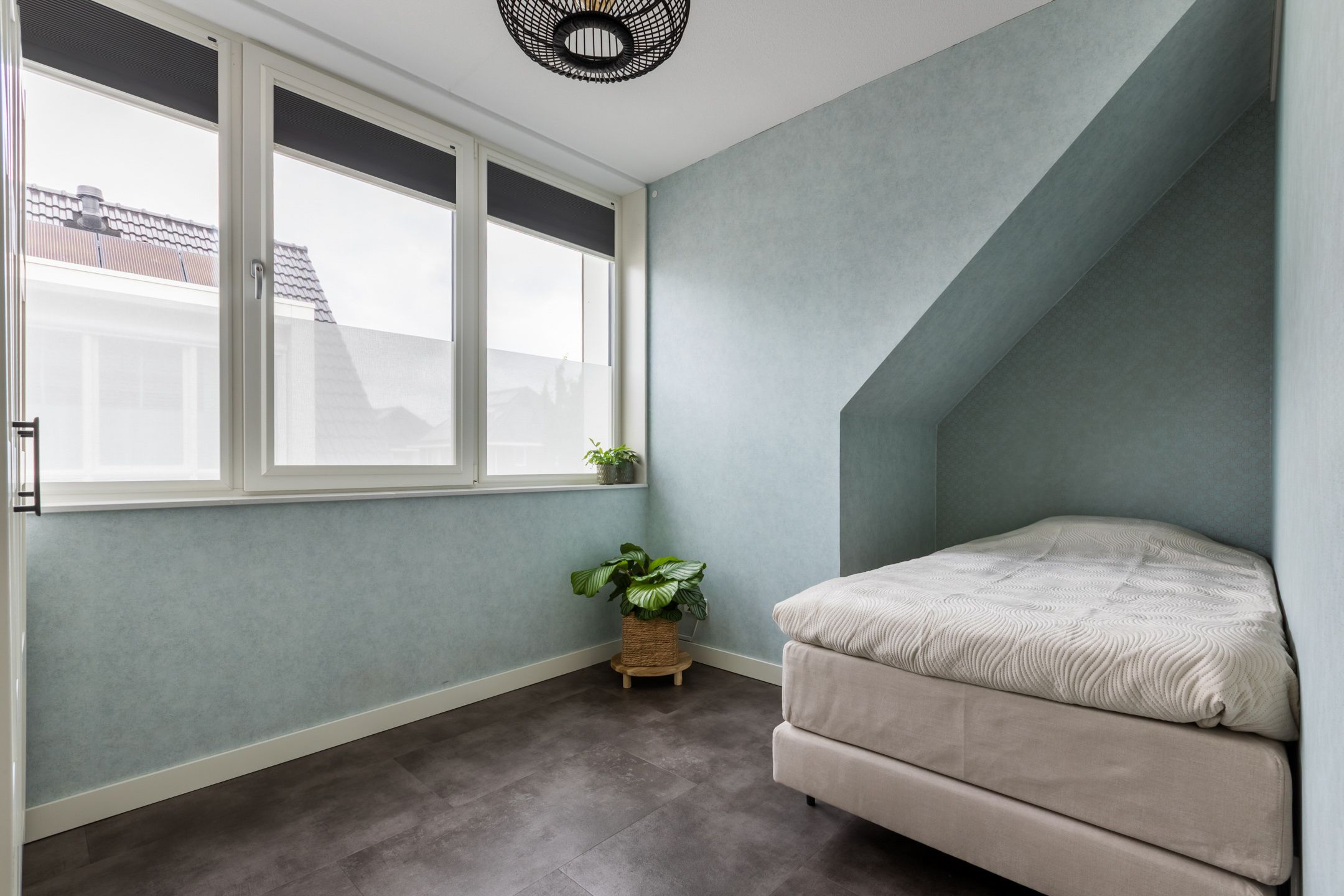 Foto 21 van Purperreiger 21