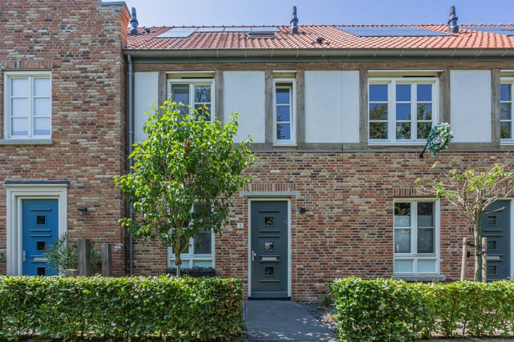 Foto 2 van Dotterbloempad 3