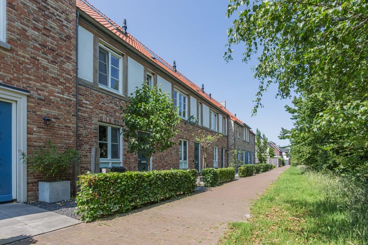 Foto 3 van Dotterbloempad 3