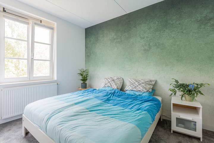 Foto 16 van Dotterbloempad 3