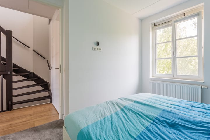 Foto 17 van Dotterbloempad 3