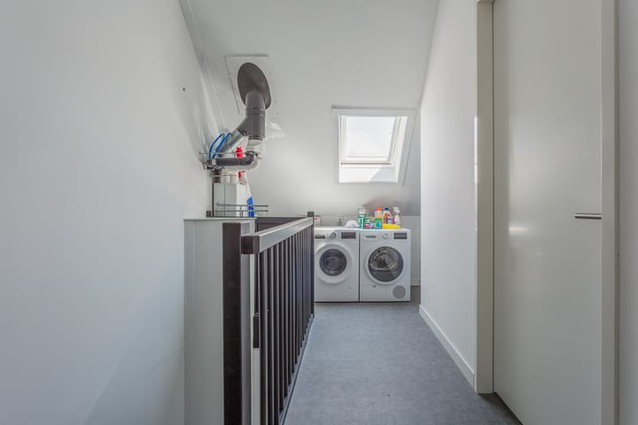 Foto 25 van Dotterbloempad 3